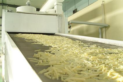 脱水蔬菜带式干燥机